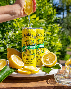 Zesty Lemon Soda Can 355ml